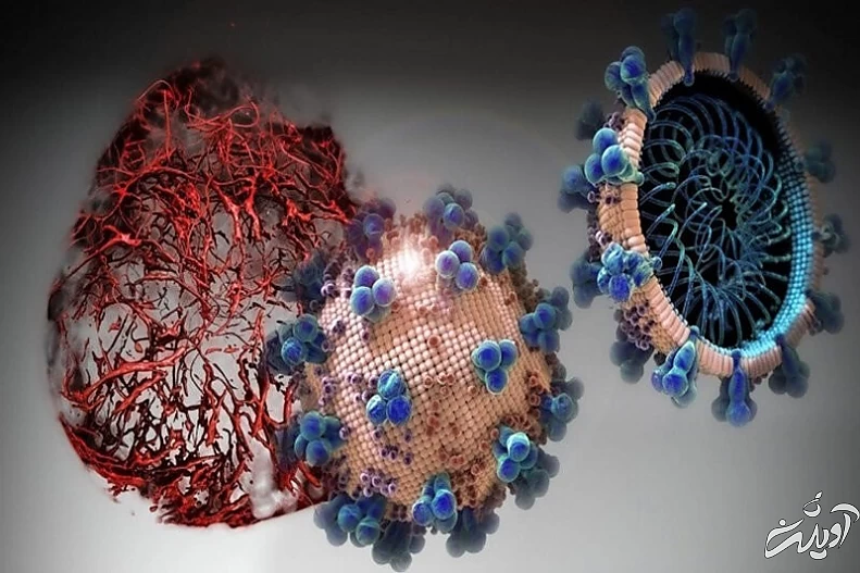 درباره سویه «لامبدا» چه میدانید؟/ از علائم تا تاثیر واکسن